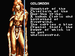 Heroes of The Lance screenshot 4 for MSX2
